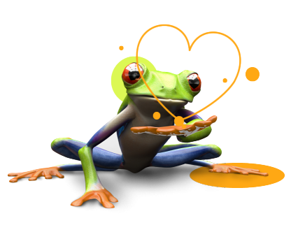 Fase 5: Implementatie